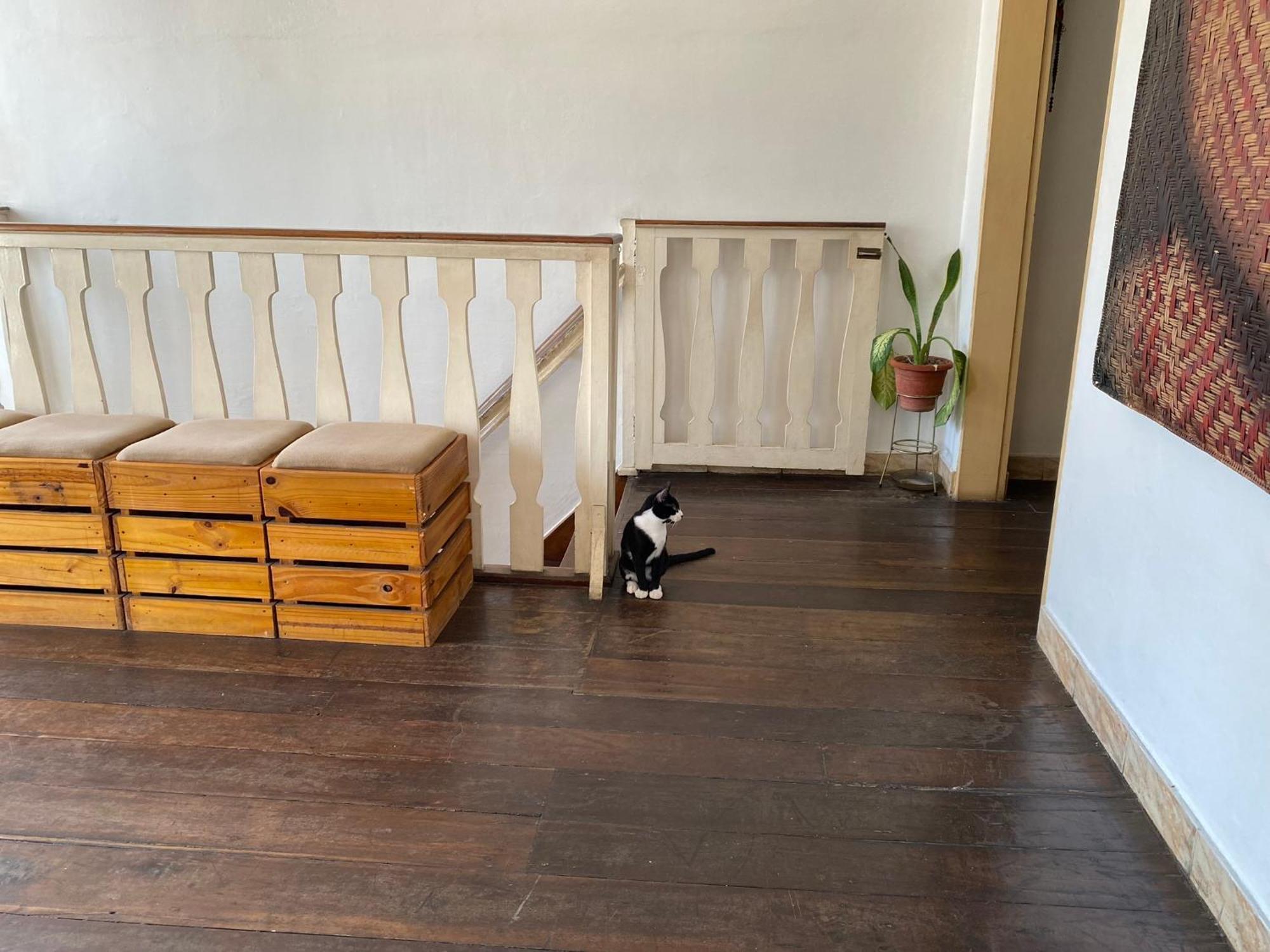 Aldeia Hostel 马瑙斯 外观 照片