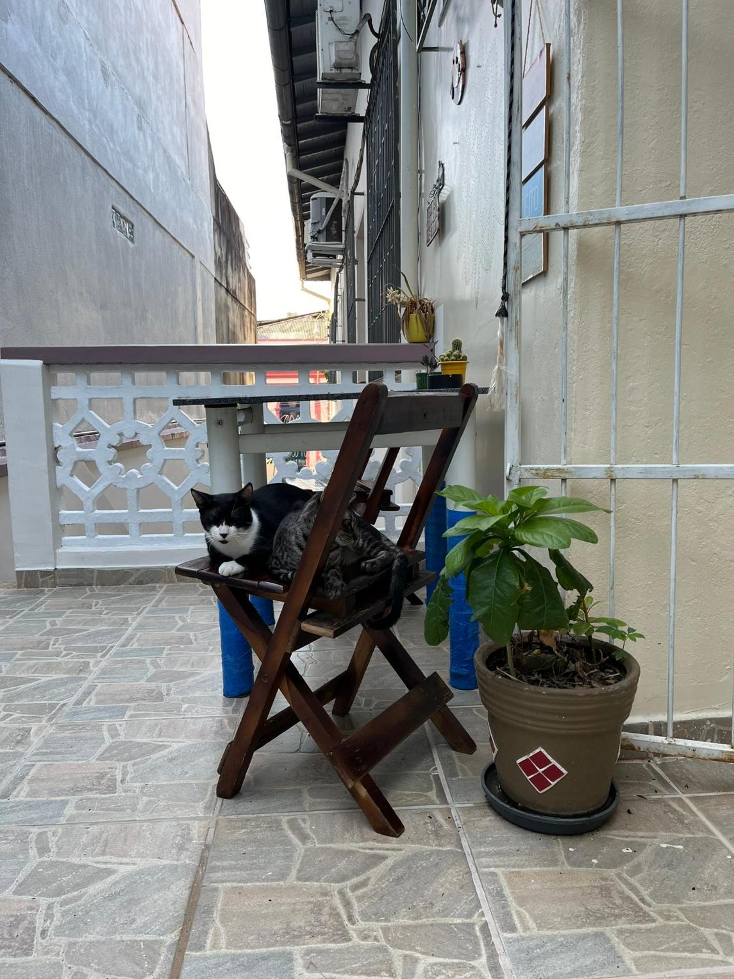 Aldeia Hostel 马瑙斯 外观 照片