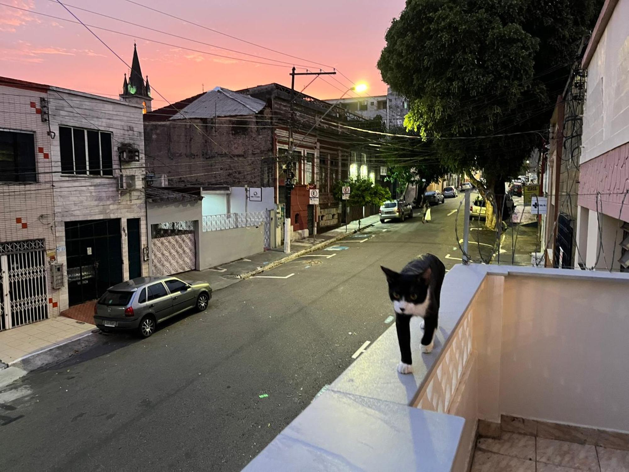 Aldeia Hostel 马瑙斯 外观 照片